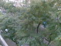 appart_6_11:image_017.jpg